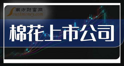 2025年棉花產業鏈及軟件開發上市公司龍頭股解析